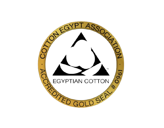 egypt_logo-2560-2x-scaled-removebg-preview